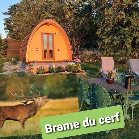La Cabane De Tic Et Tac Hotel Tailles Luaran gambar